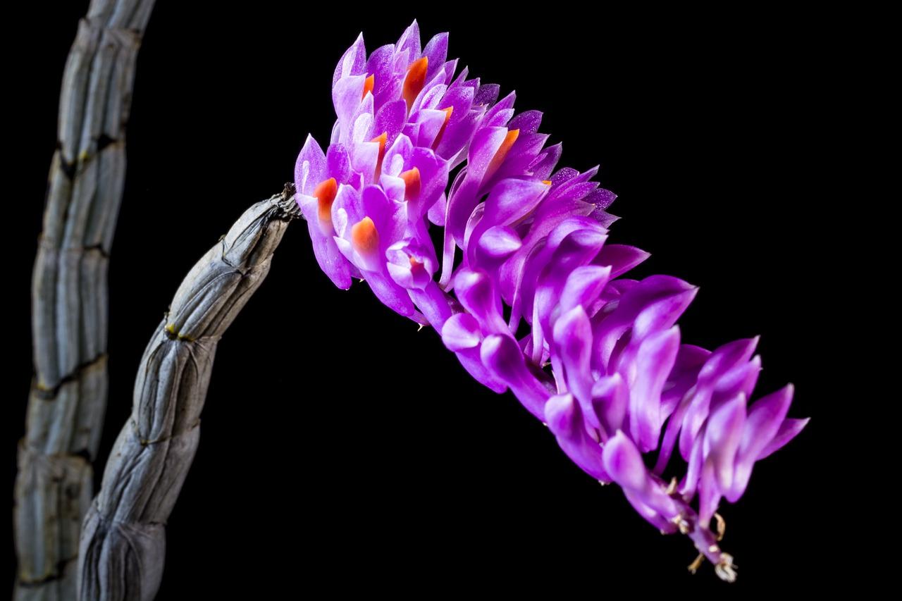 2. 稀缺户型推荐