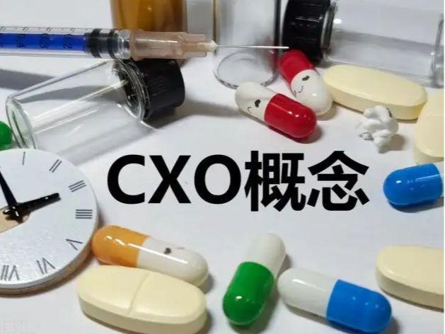 cxo概念：业绩为王！A股6大“cxo”潜力龙头企业 - 知乎