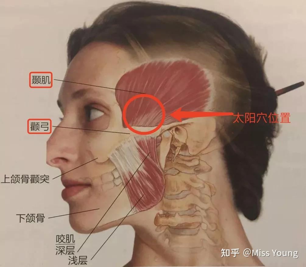 为什么太阳穴突然凹陷,颧骨突出,好丑? - 知乎