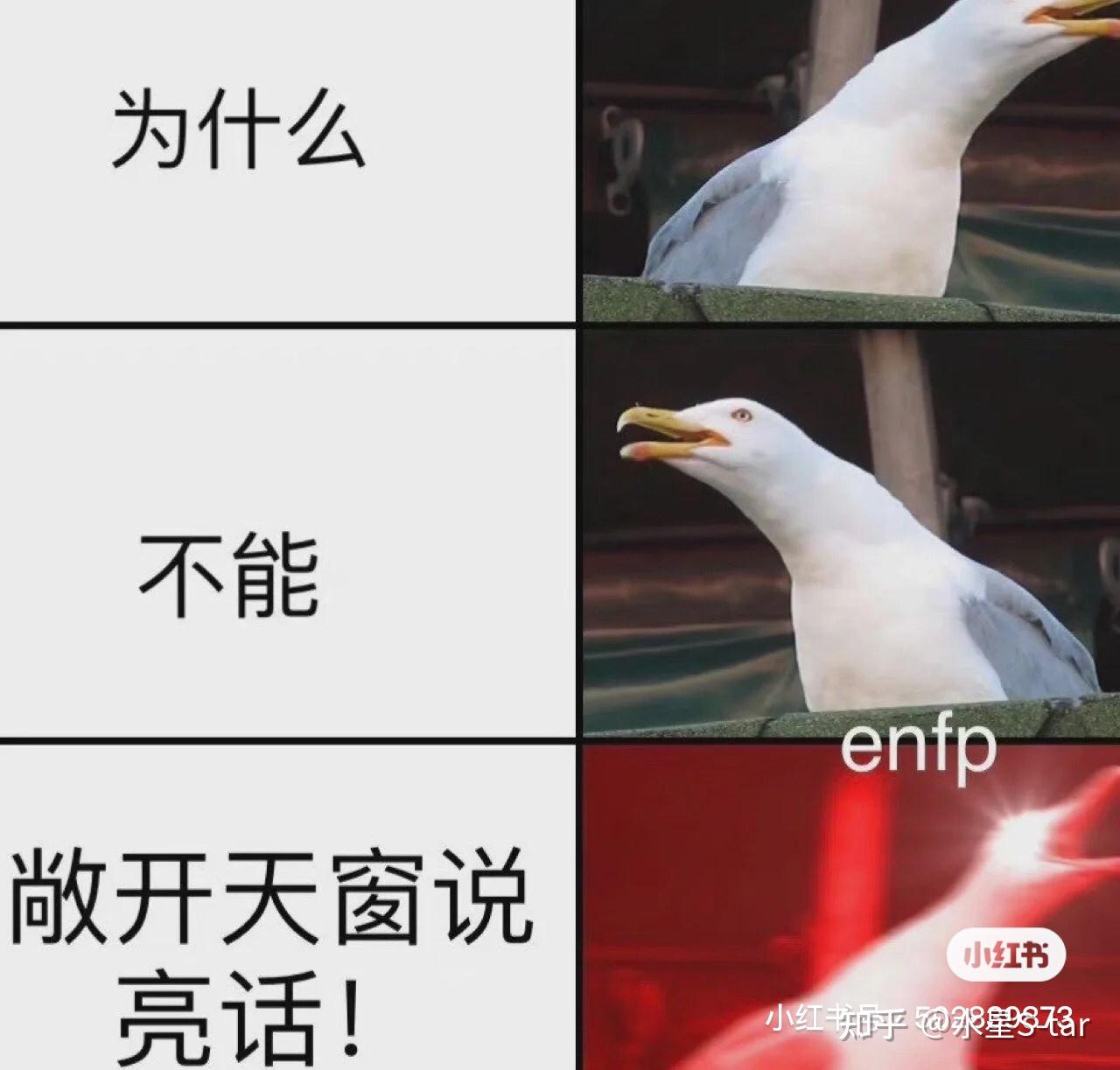 分享ENFP表情包 - 知乎