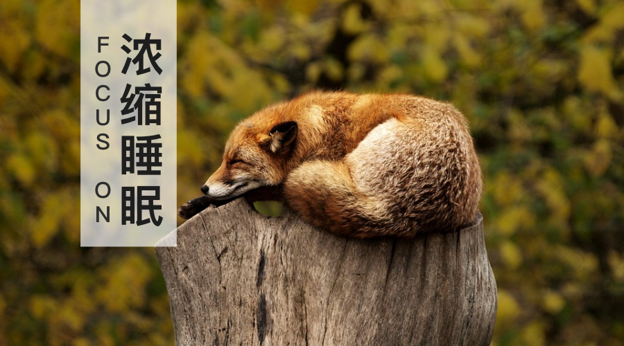 v2-c1c157b64437e2357034c48d5bf923ca_1440w.jpg?source=172ae18b