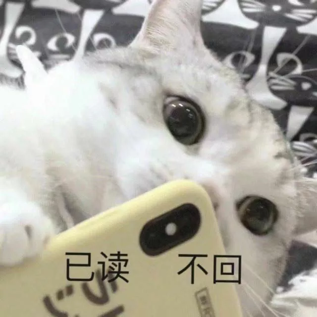 忙沙雕文案,忙碌的沙雕文案
