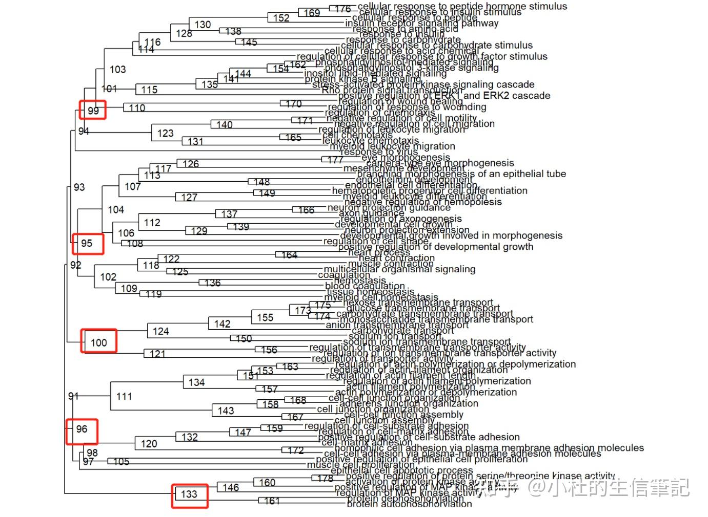 多组差异基因富集分析结果聚类 | 获得共表达term的富集图 - 知乎