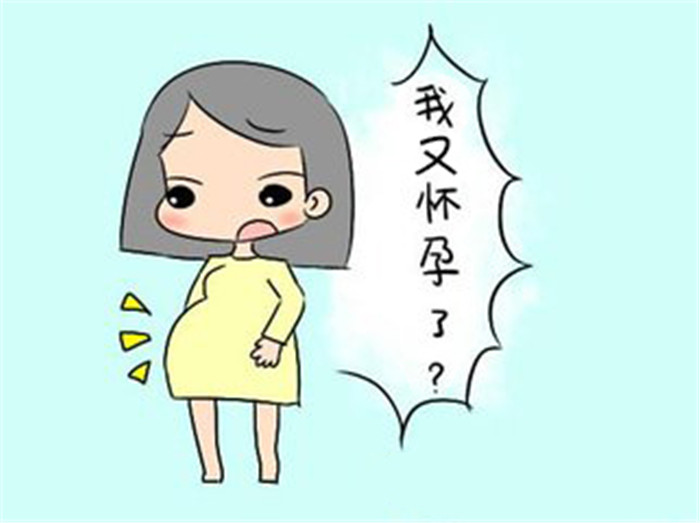 妊娠就是怀孕吗 zhuanlan.zhihu.com