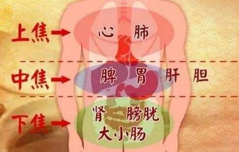 中医入门必须理解的五脏六腑功能特点