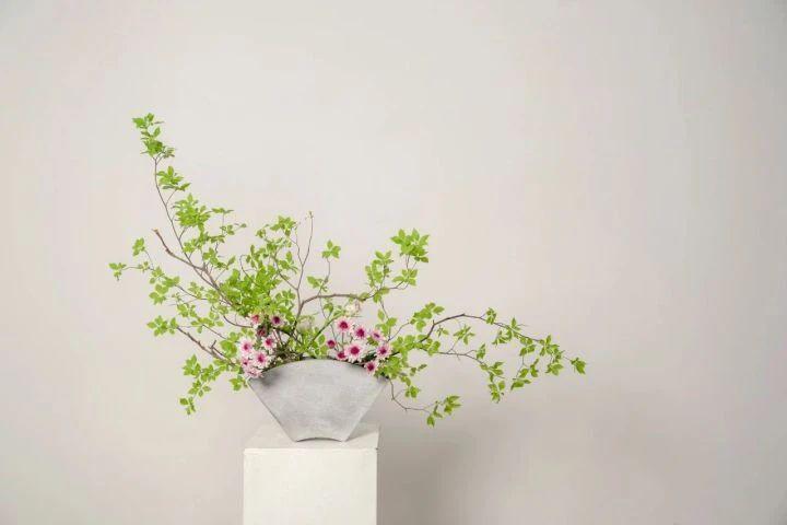 花生 草月流宗家勅使河原宏作？ 作家物 花瓶 華道 生花 花器 花