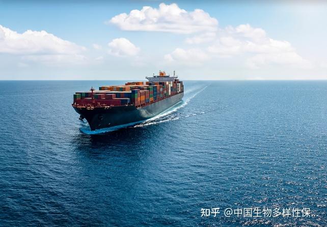国际海事组织：非洲国家准备推出净零航运战略 海洋与湿地·讯 知乎 