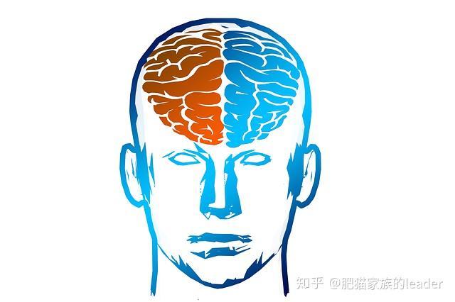 v2-c1df830318804995b2dc67772ec8c078_r.jpg