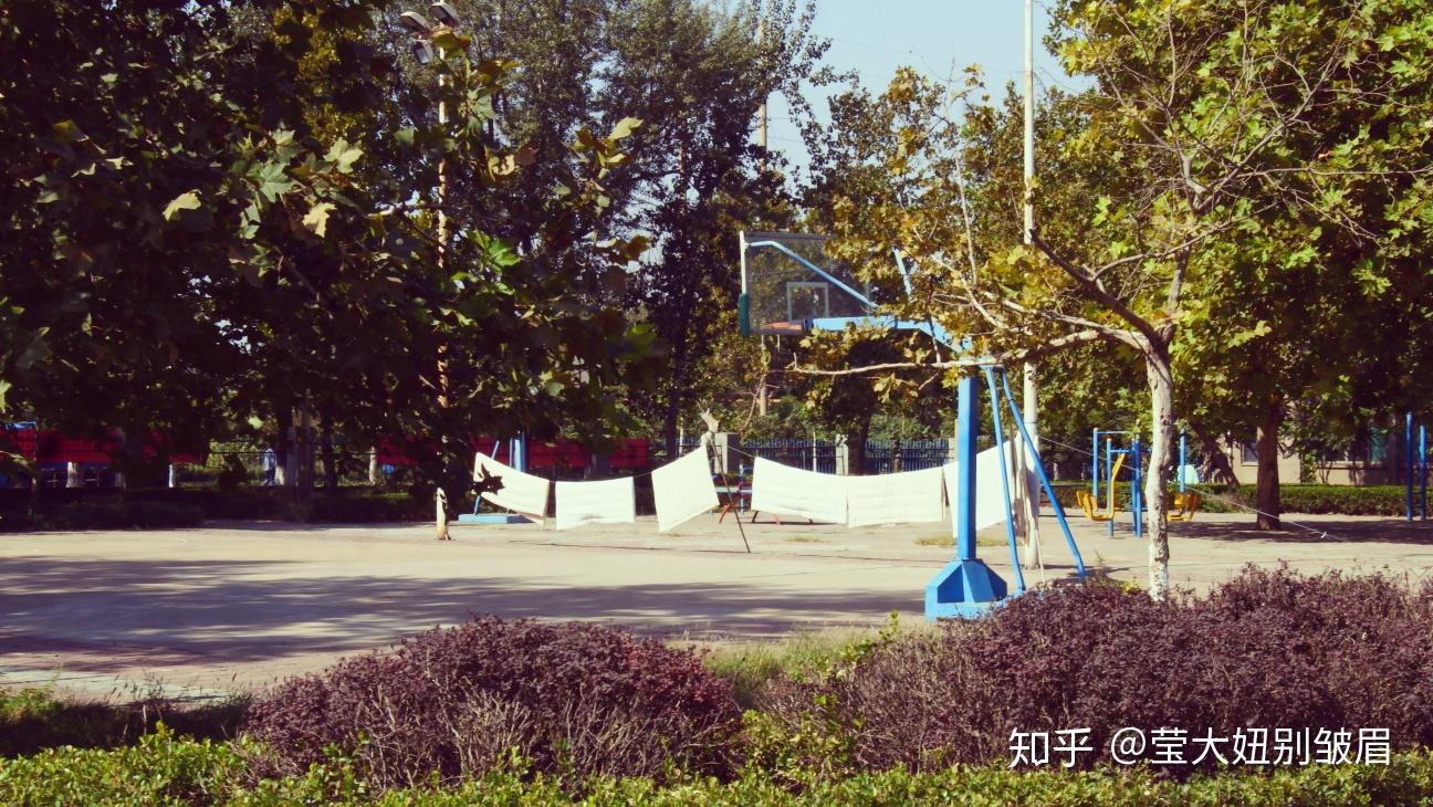 十月的二号,我在淄博山铝