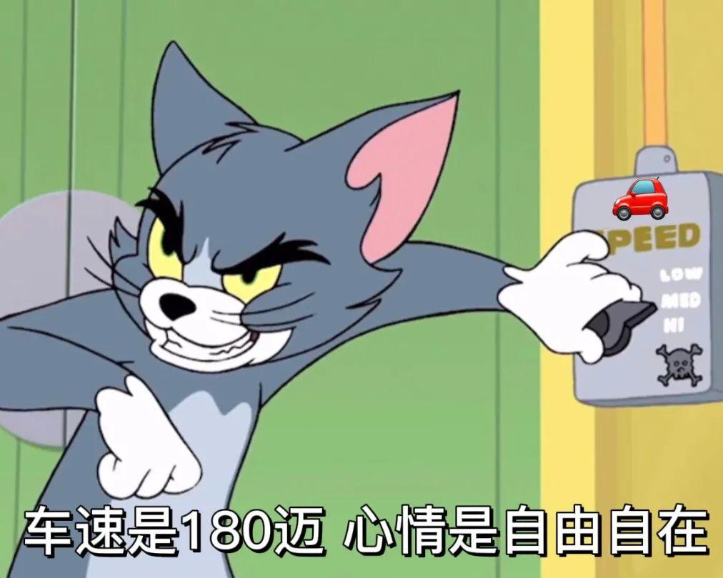 你微信里有哪些猫和老鼠的表情包