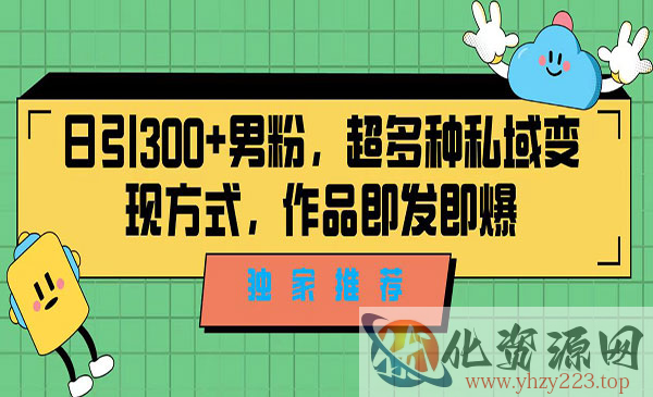 《日引300+男粉》超多种私域变现方式，作品即发即报，独家推荐！_wwz