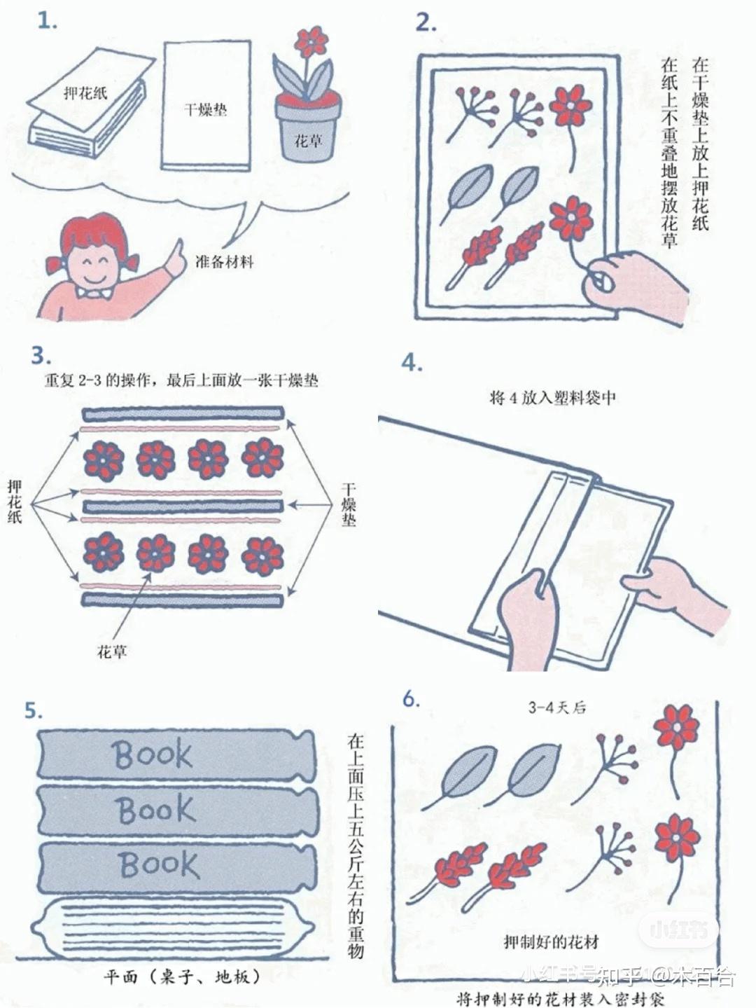 干货分享|98植物手作压花介绍98