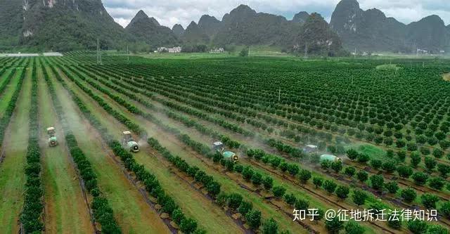 什么时候建的属于违章建筑 v2-c1ee2b1cd25162d980e3d9f1059542a0_r.jpg