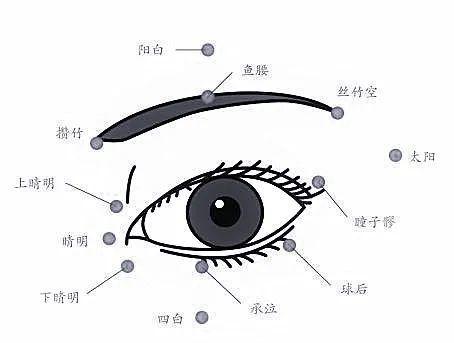 一文看懂眼睛与脏腑经络的关系,收藏起来!