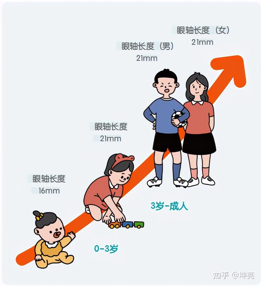 坤亮从出生开始人的眼睛是如何生长发育的