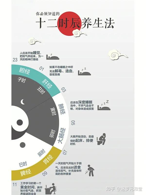 全网最全十二时辰养生说明书 收藏级干货!(结尾附口诀) - 知乎