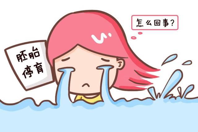 v2-c1fb13afc5b15e12cdec39e54339ea09_1440w.jpg?source=172ae18b