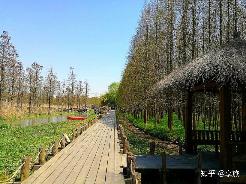 青西郊野公園和青浦博物館精彩自駕一日遊攻略