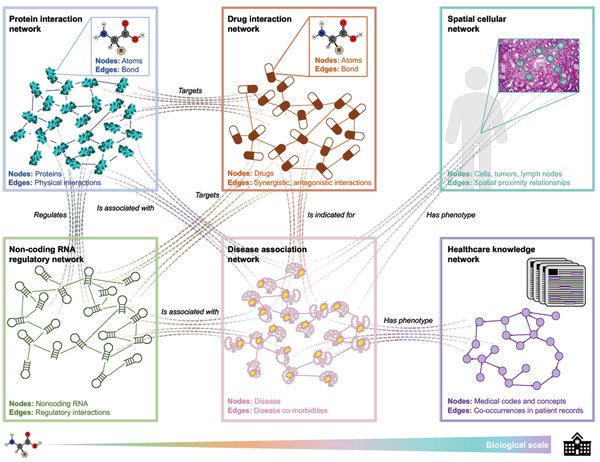 graph representation learning in biomedicine and healthcare