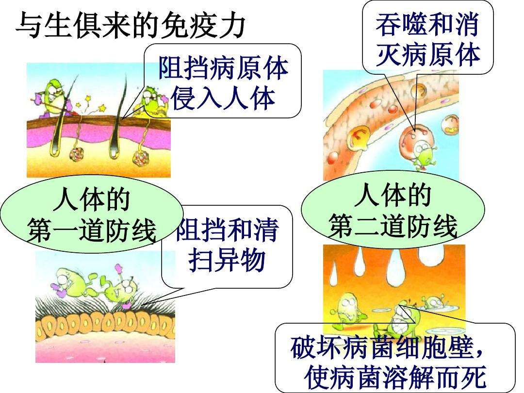 免疫对机体是 zhuanlan.zhihu.com