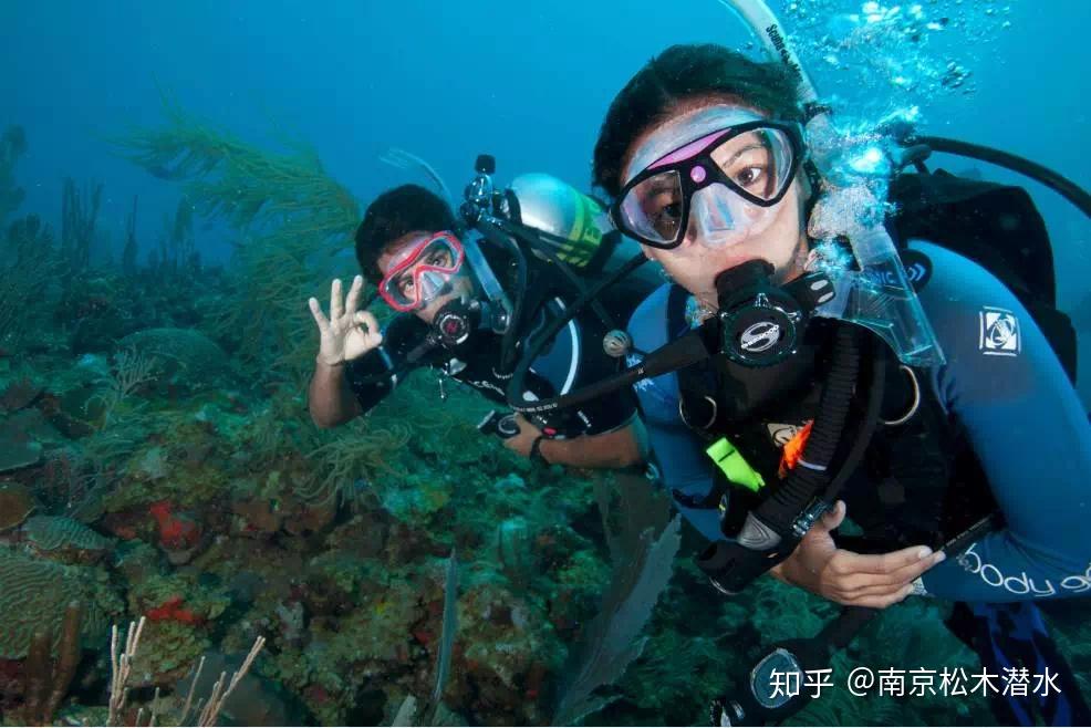 v2-c21a843207a1955a1b9a1722abe6a4e0_r.jpg