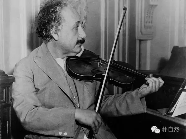 朴门里谁是大王 知乎