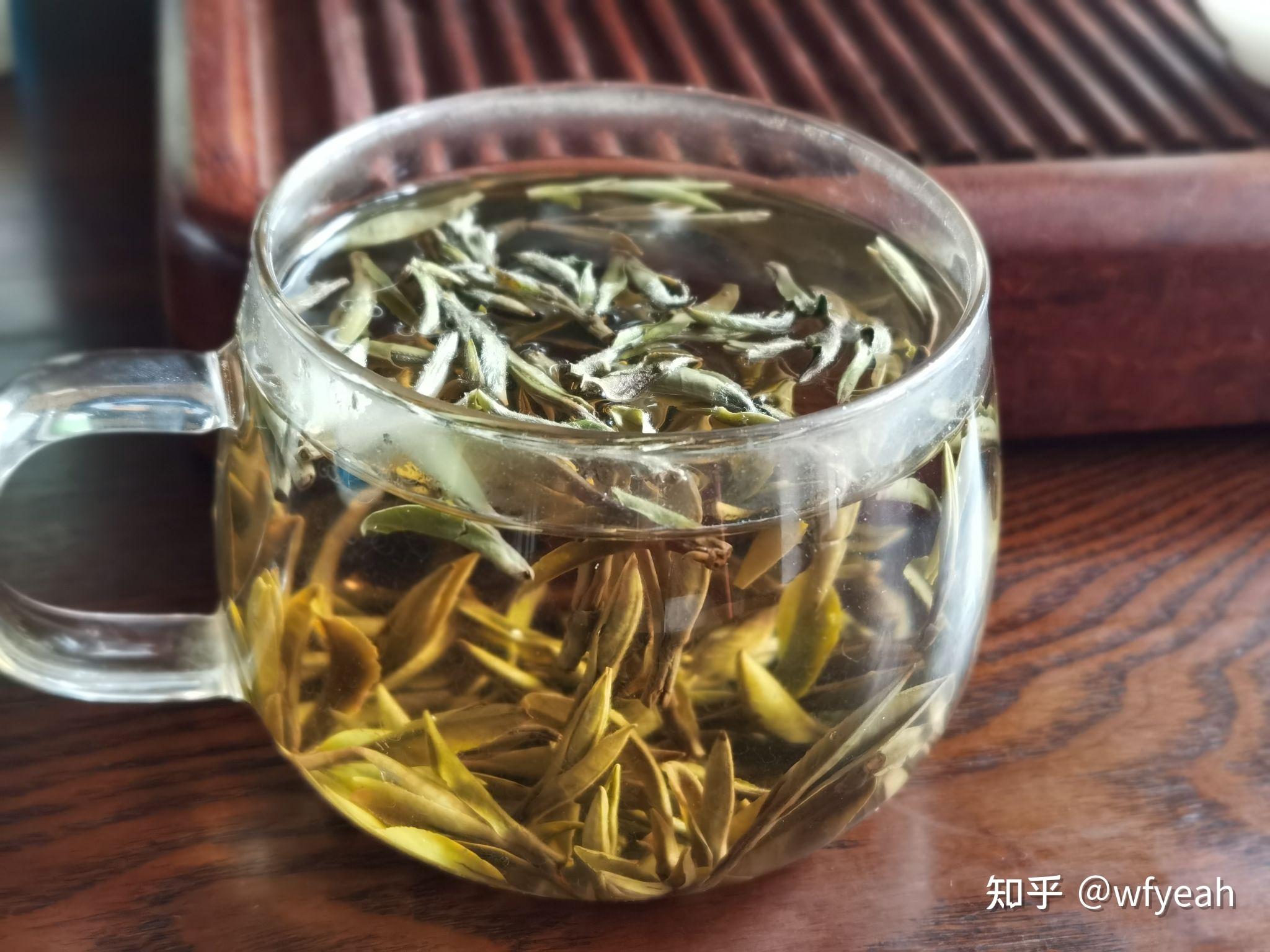 新白茶玻璃杯泡也很好喝