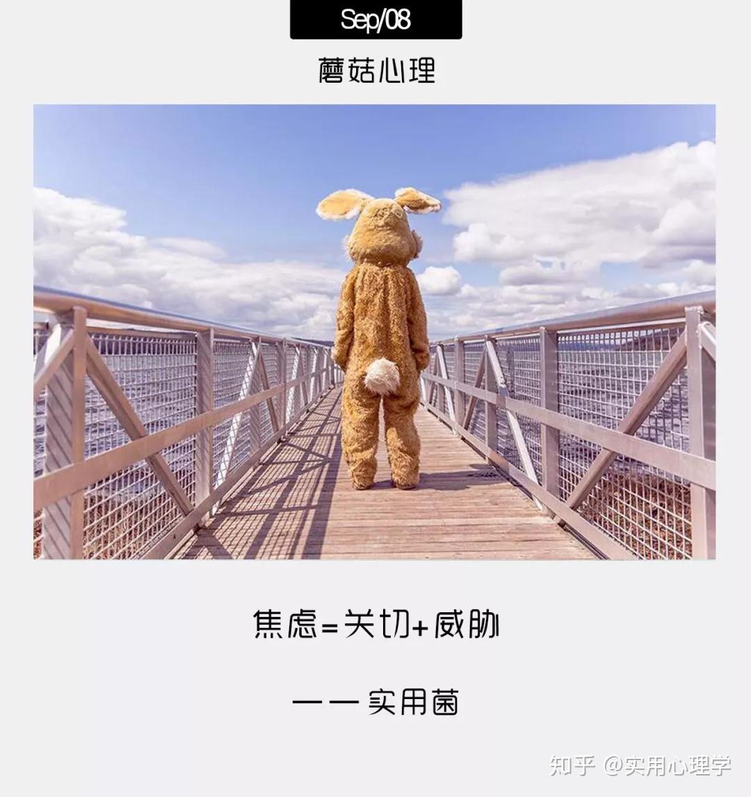 你在意什么什么就会折磨你
