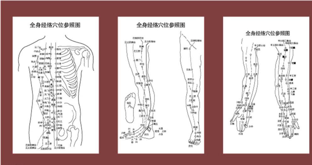 经络到底存不存在