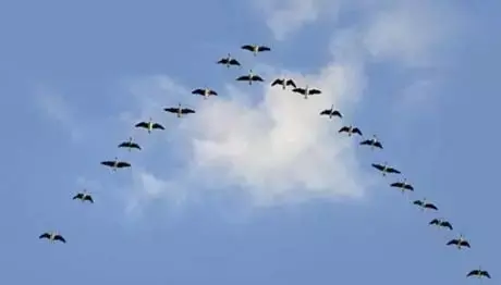 v2-c229f8b3c0119aa88a5362c5ac510350_r.jpg