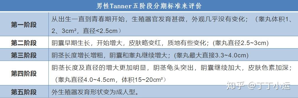 男孩到男人,需要经历什么——男性的生长发育 - 知乎