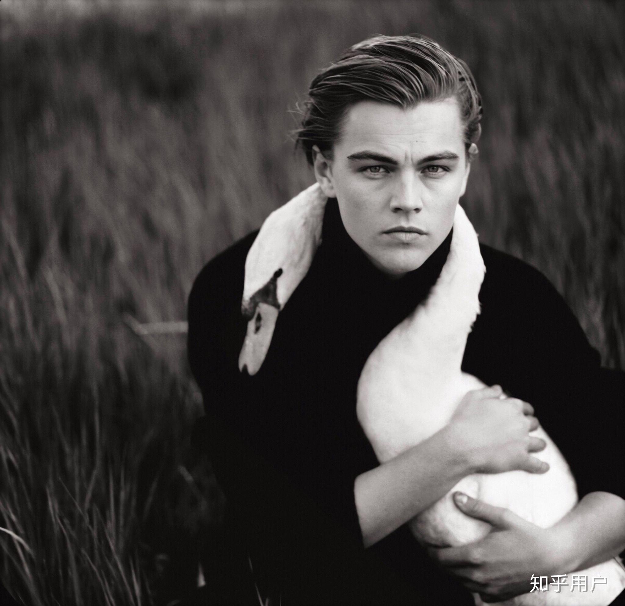 有什么小李子的神仙头像