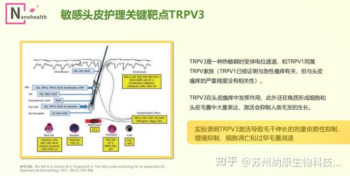 Tpr3 解密头皮健康的“分子开关”TRPV3 - 知乎
