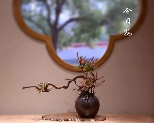 素心同调 花间事茶 知乎