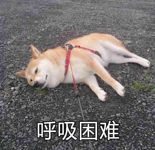 你现在用什么护肤品和化妆品呢