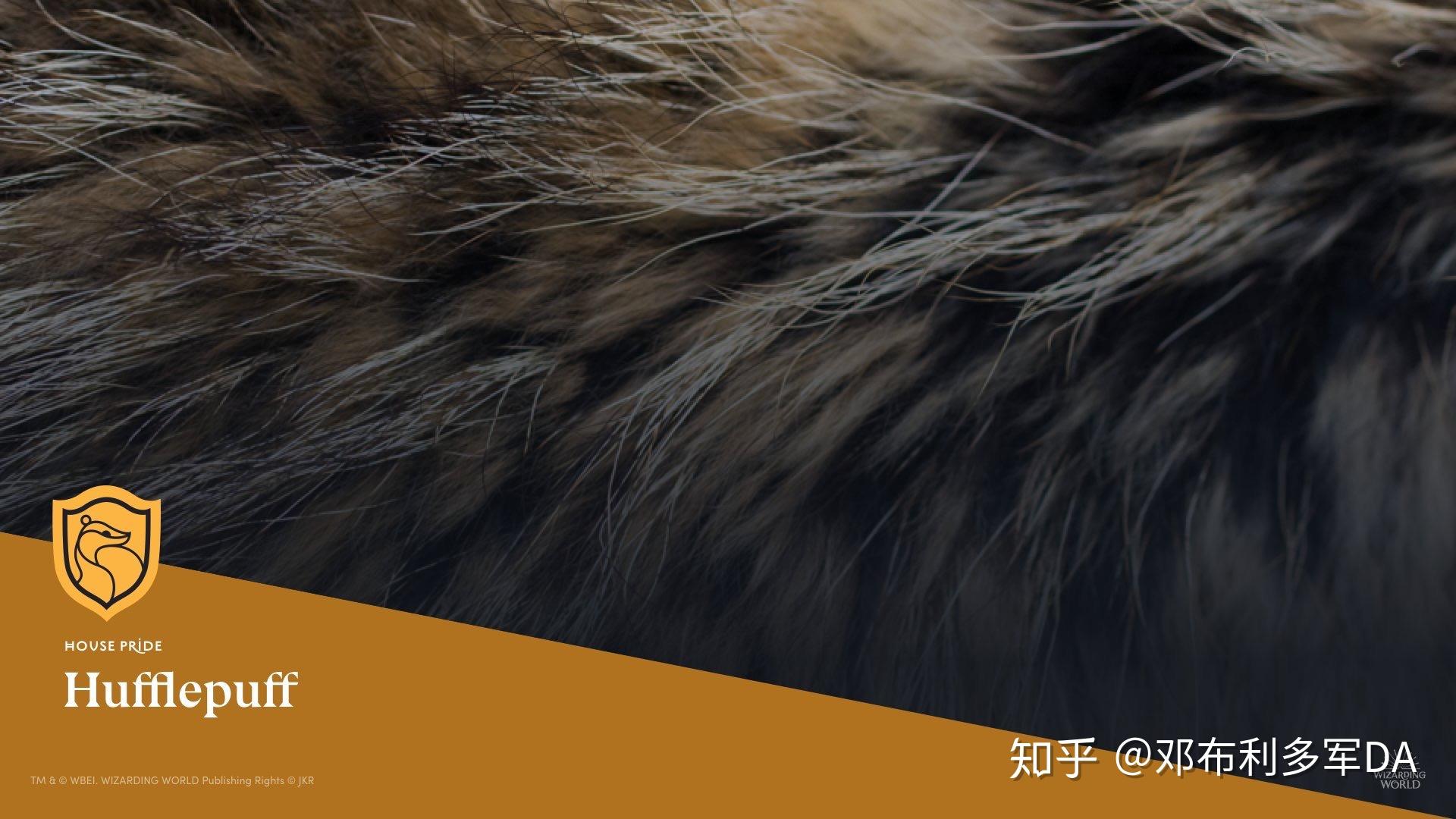 有没有拉文克劳的表情包和壁纸