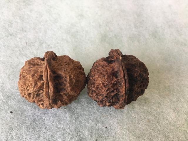 你怎么看待"阴皮铁核桃"被商家叫作"七彩云南"