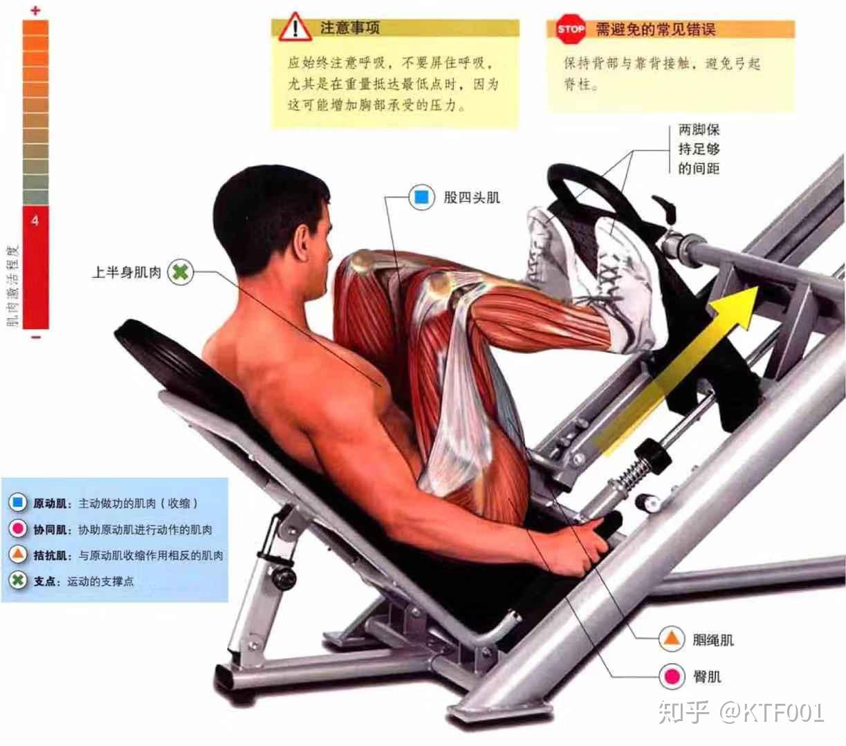 常见的健身房器材 千万别说你会用_上海候宇体育用品有限公司