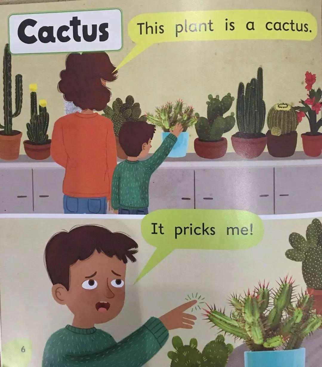 像读故事一样读百科学科普的同时学英文丽声百科第六课