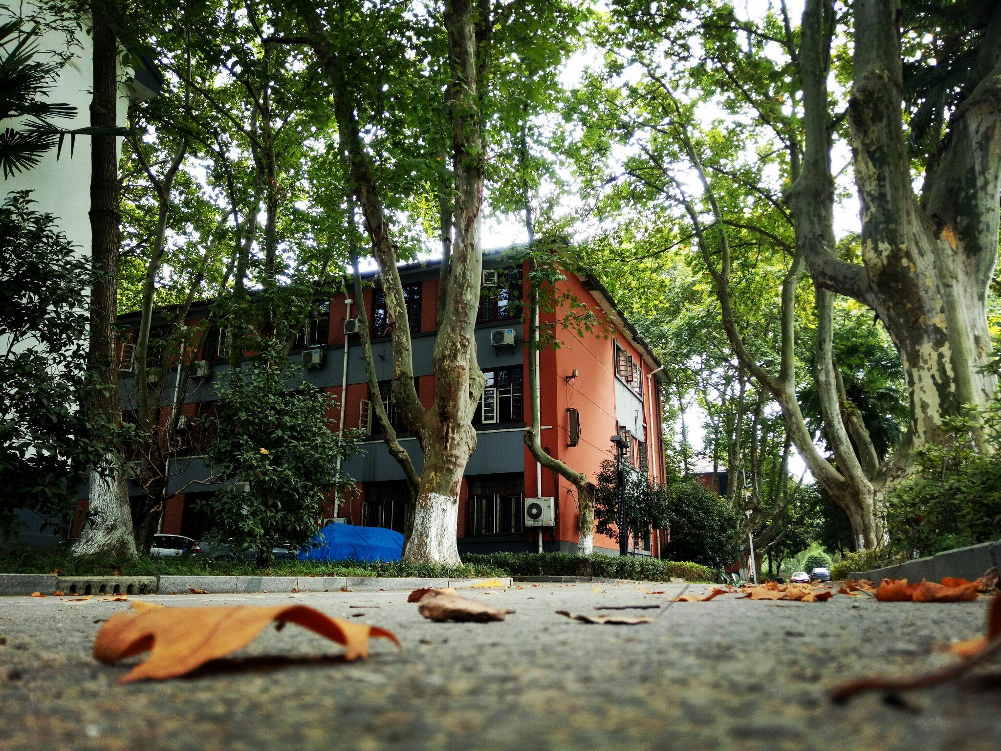 你对南京邮电大学三牌楼校区是什么印象