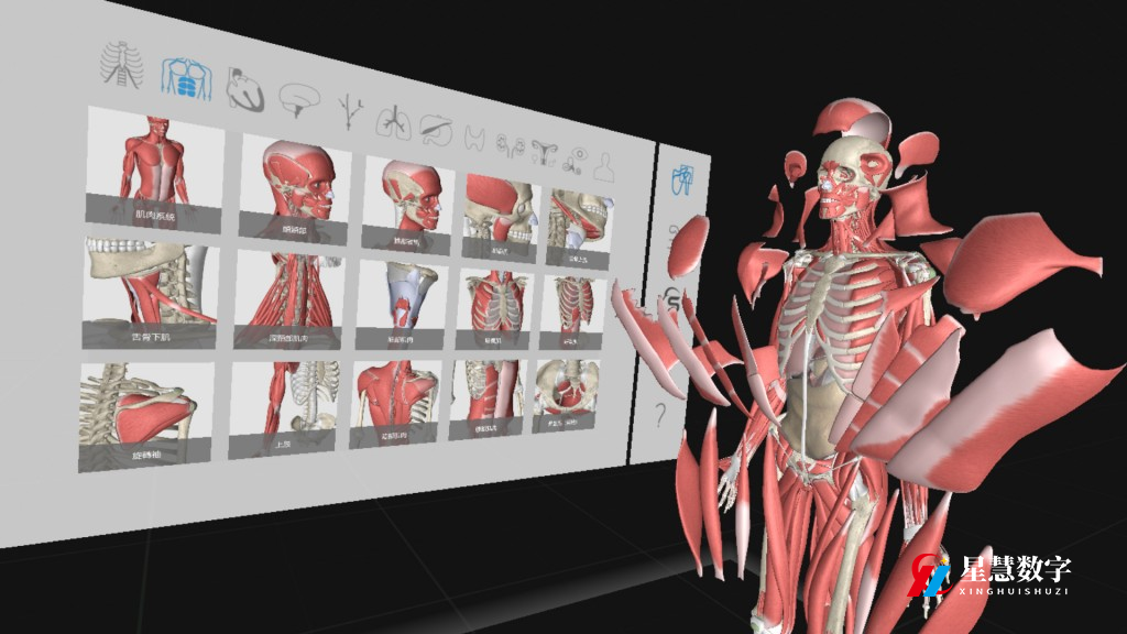 探索身体奥秘，人体3D解剖软件 - 知乎
