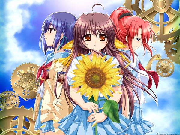 仲夏灯火映侧颜向阳葵花奏乐弦 るーすぼーい和他的社会派galgame 知乎