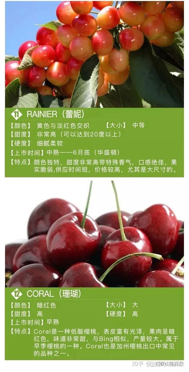 桑缇娜和拉宾斯哪个品种的车厘子好吃