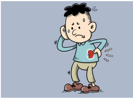 9食欲不振食欲不振是肾衰患者较早和最常见的症状,与毒素潴留有关.