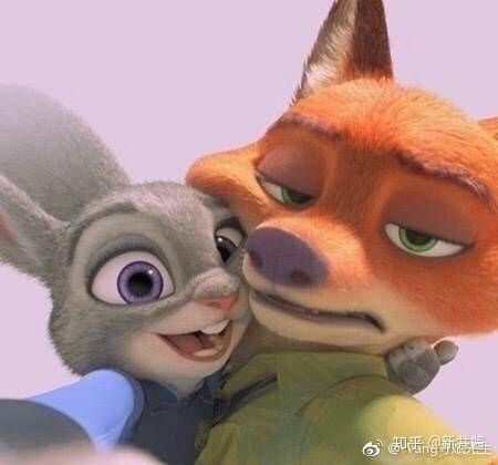 请问各位大佬有朱迪兔和尼克狐的情头吗? - 知乎