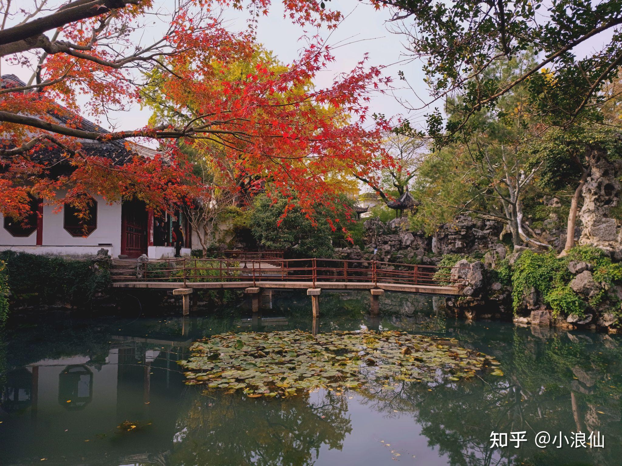 苏州园林秋景图片