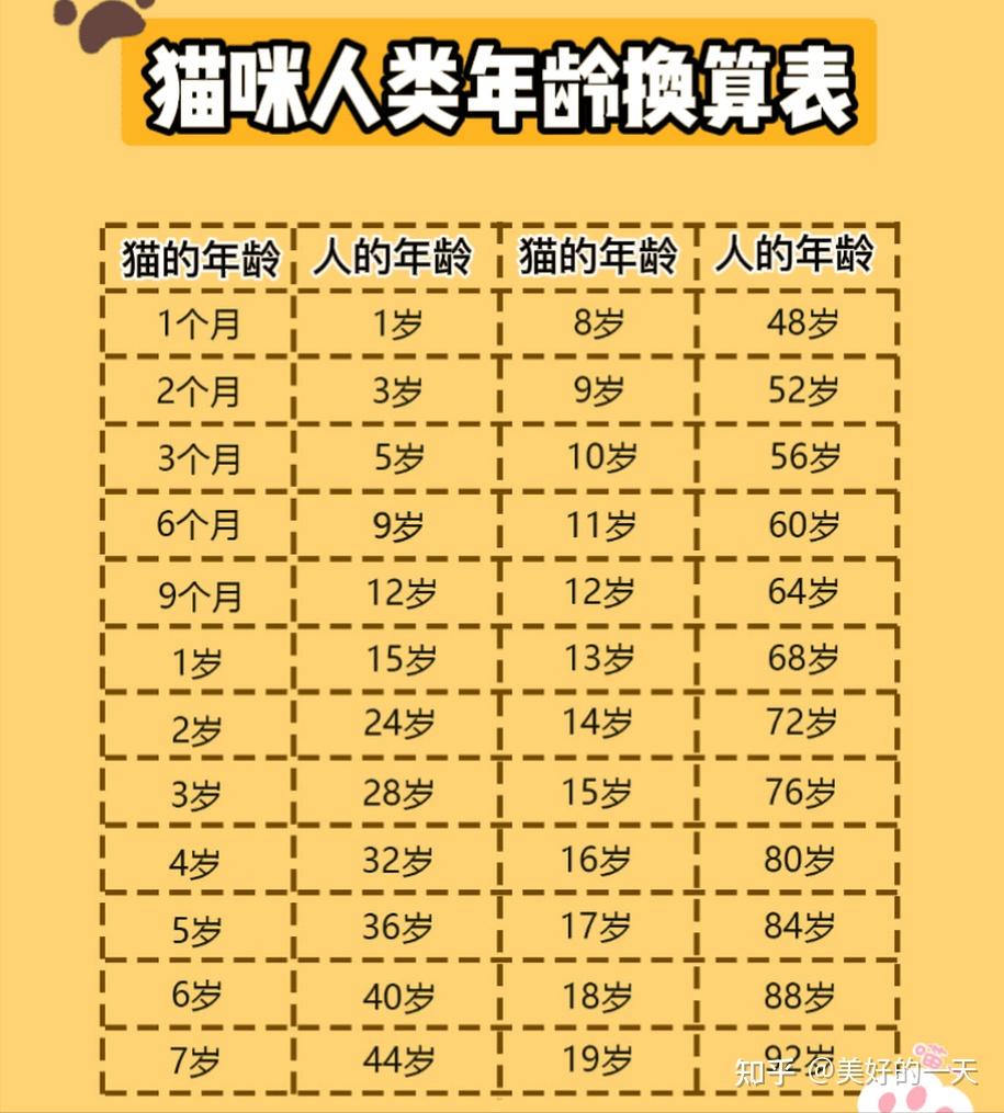 猫咪1岁人类7岁这是过去式了附上最新的年龄对照表