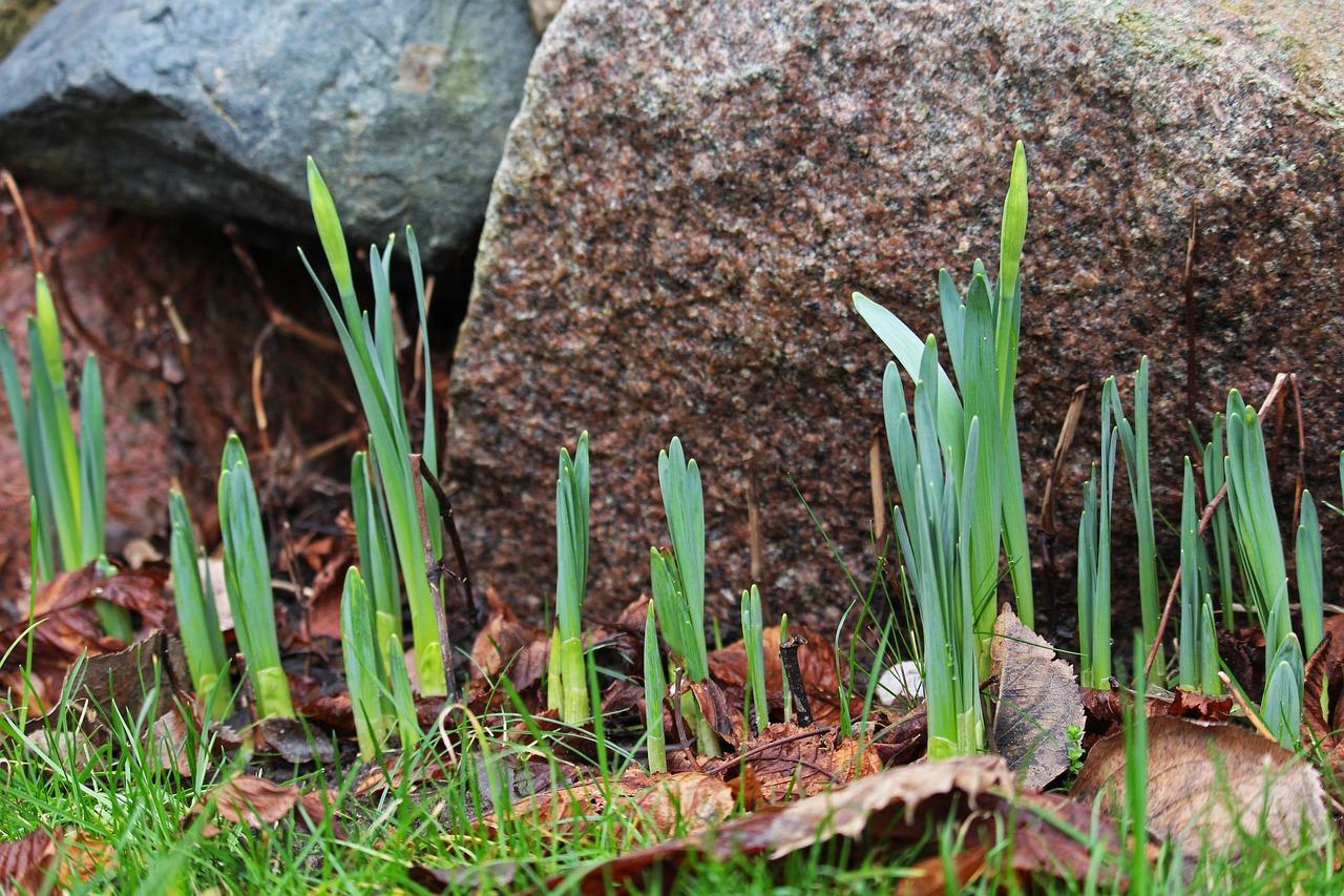 艺格春天是什么社区