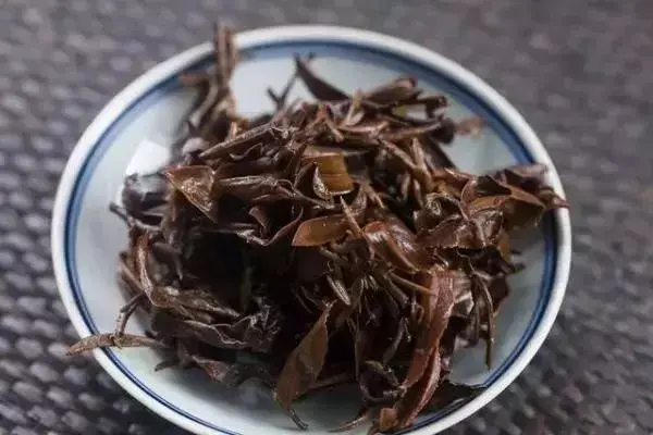 蟲子咬過的茶你敢喝嗎