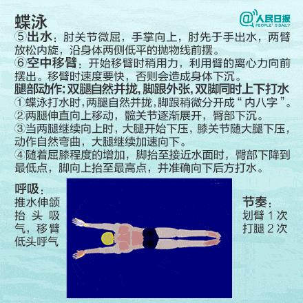 蝶泳口诀 (干货)